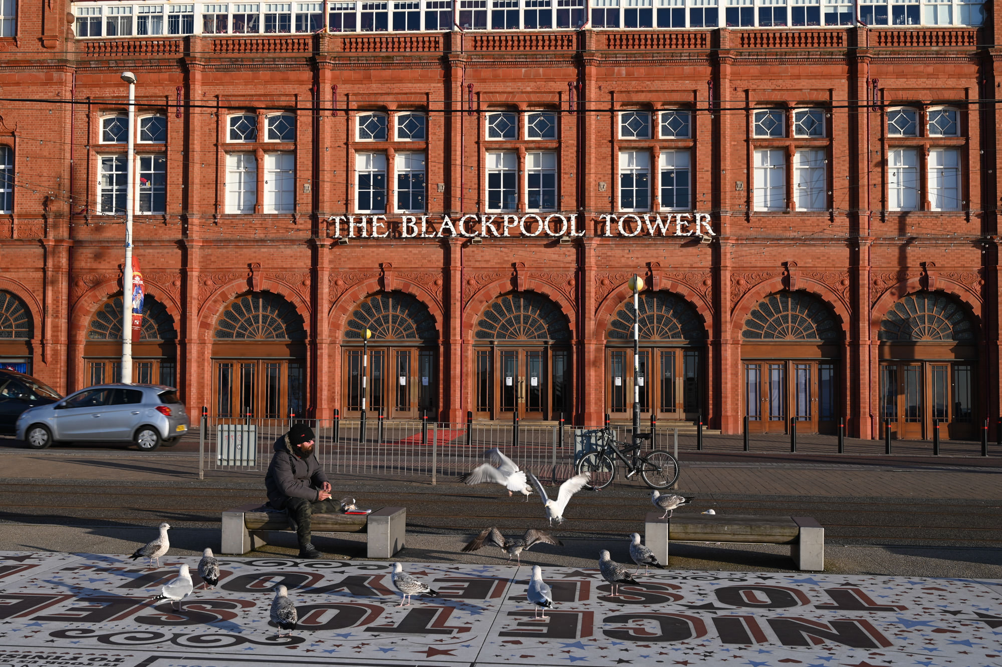 Man feeding seagulls outside Blackpool Tower