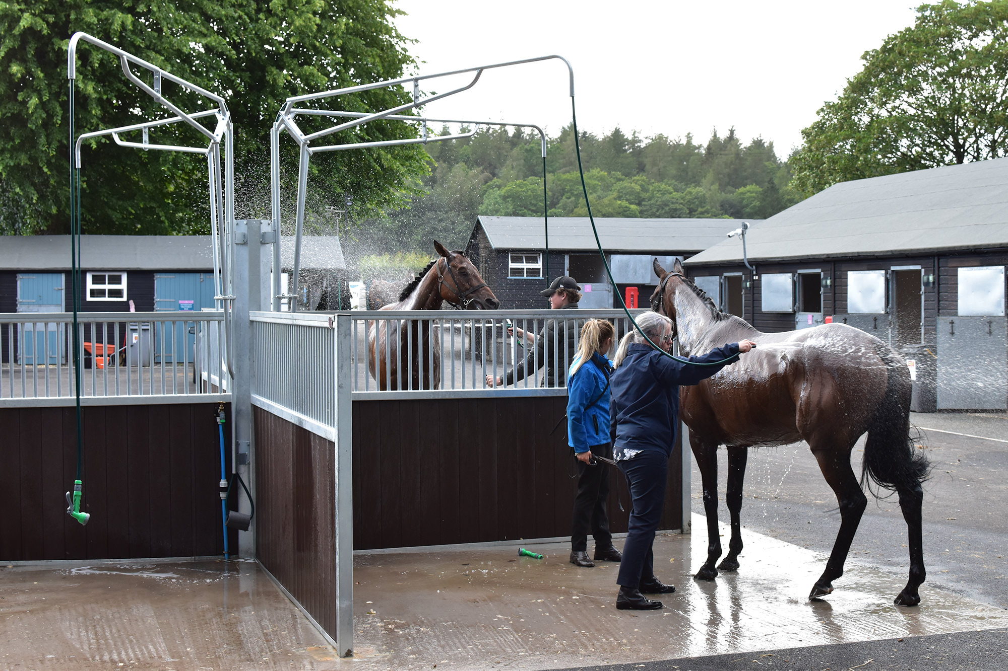 The New Stables in Action