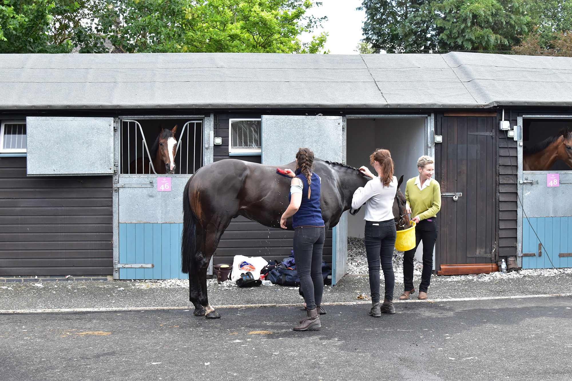 The New Stables in Action